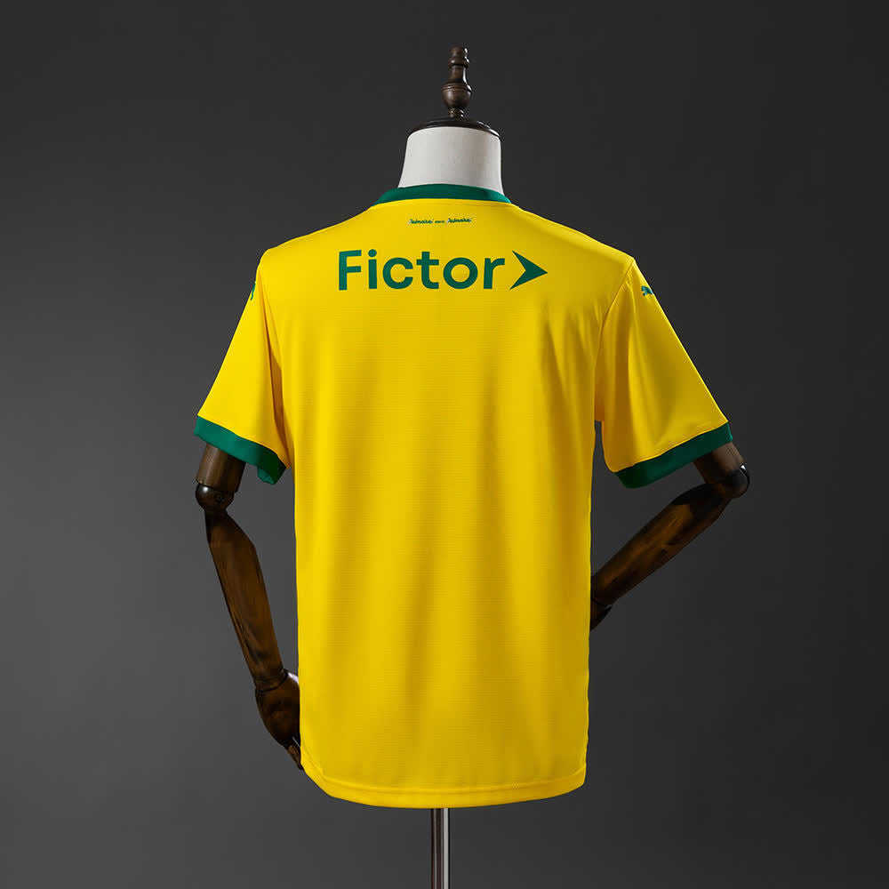 Camisa Puma Palmeiras 2025/26 III Torcedor