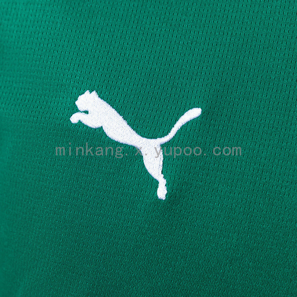 Camisa Puma Palmeiras 2026/27 I Torcedor