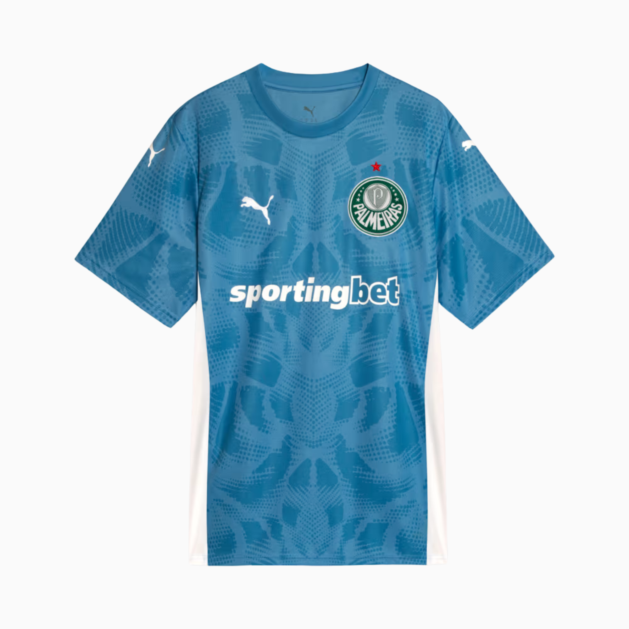 Camisa Goleiro Palmeiras 2025/26 Goleiro I