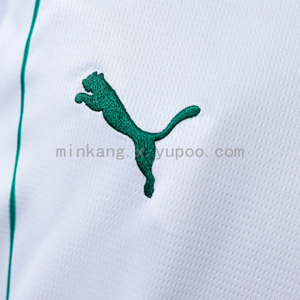 Camisa Puma Palmeiras 2026/27 II Torcedor