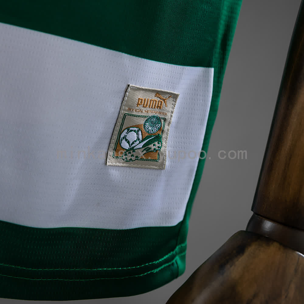 Camisa Puma Palmeiras Avanti 2025/26 Torcedor