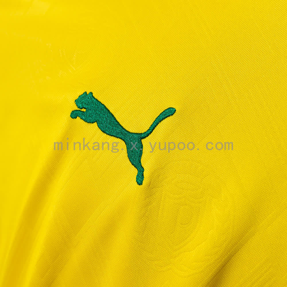 Camisa Puma Palmeiras 2025/26 III Torcedor